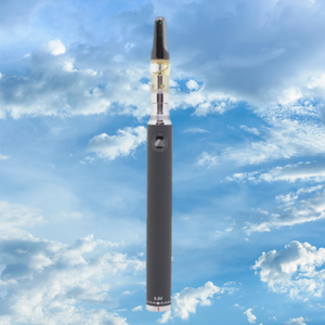 SteamCloud EVOD Review